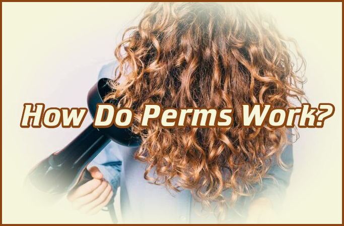 How Do Perms Work?