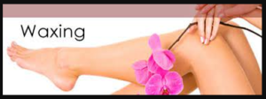 Elements salon and spa Waxing service Prices