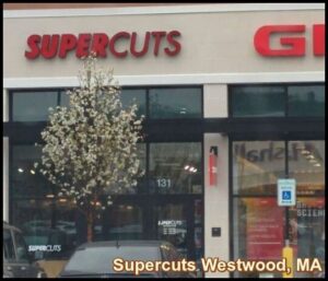 Supercuts Westwood, MA
