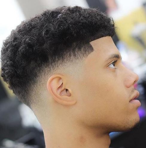 Low Fade + Curly Hair
